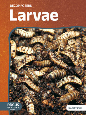 cover image of Larvae